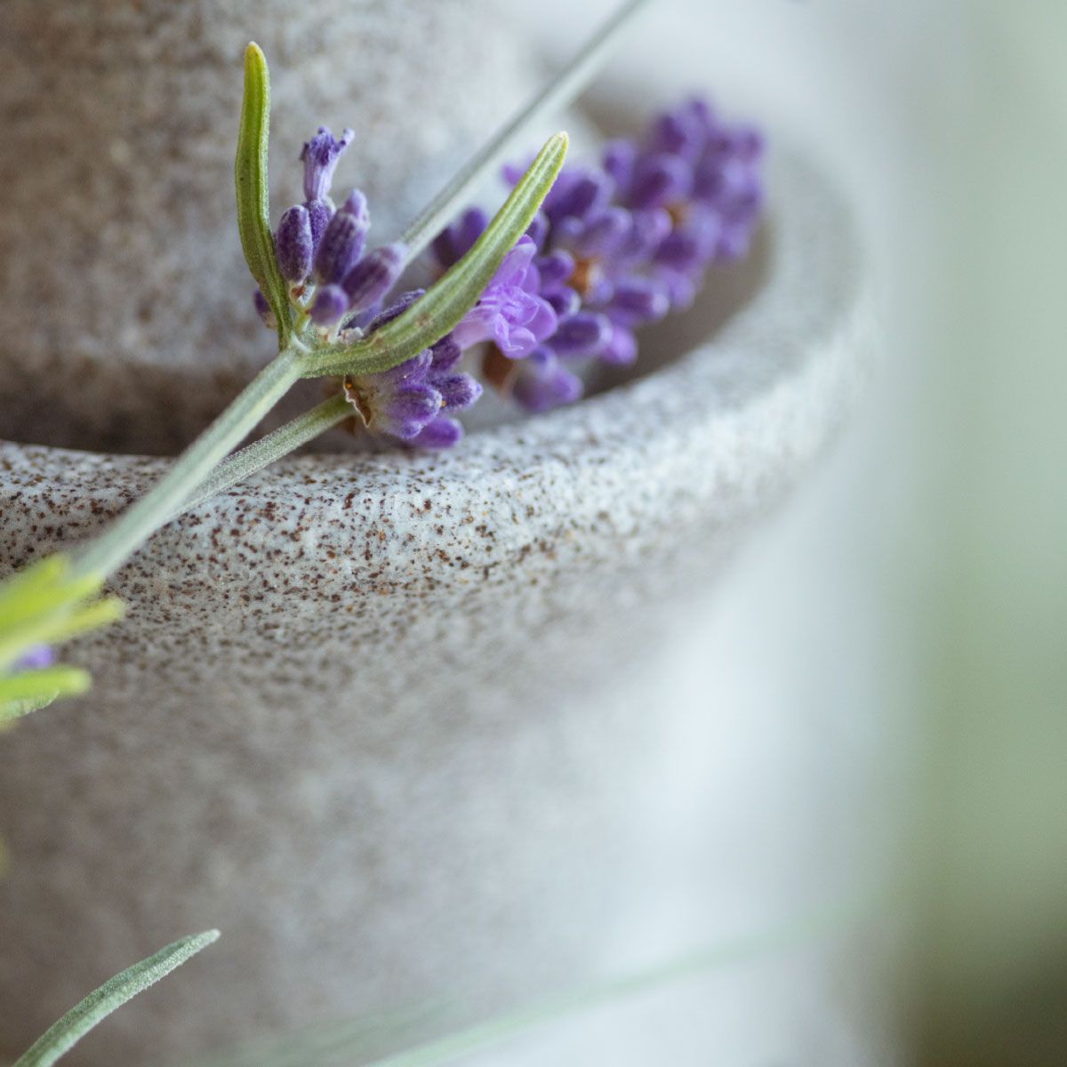 Makro Produktfotograf Keramik